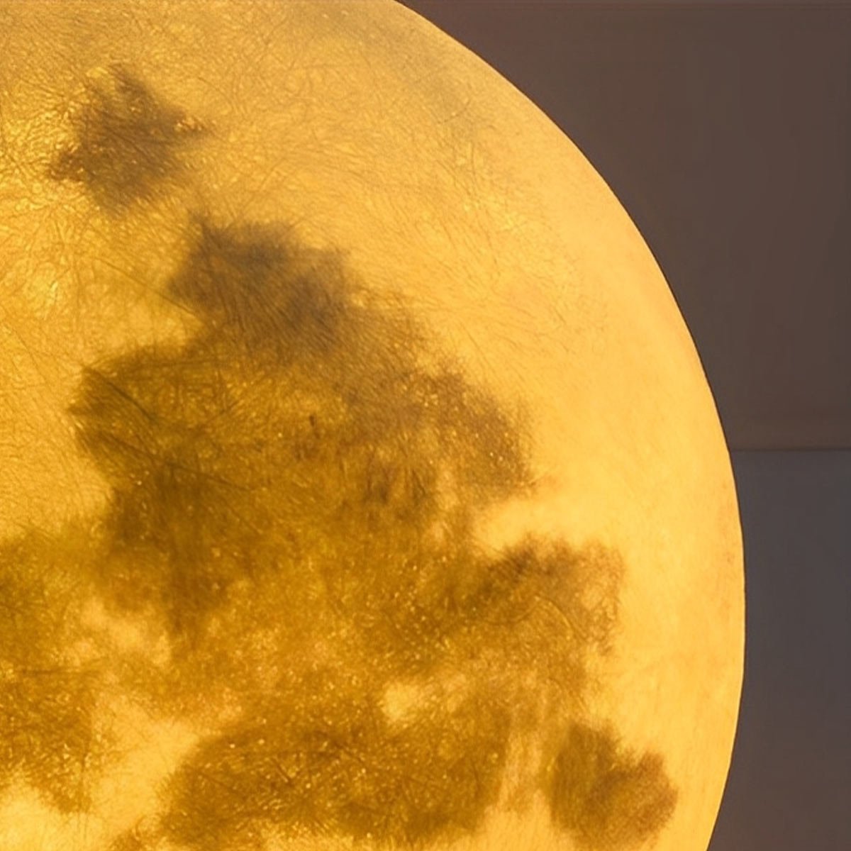 Waterproof Moon Garden Landscape Outdoor Ceiling Lights